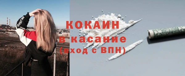 стаф Липки