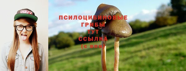стаф Липки