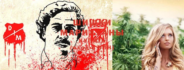 стаф Липки