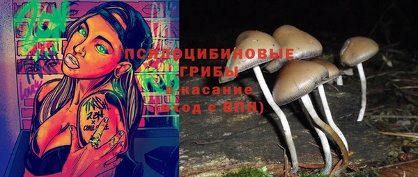 стаф Липки