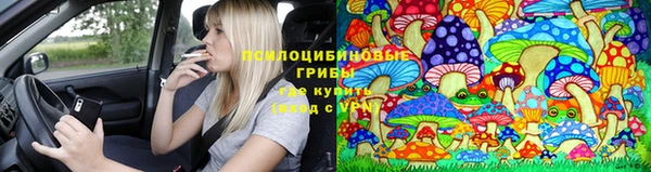 2c-b Лабытнанги