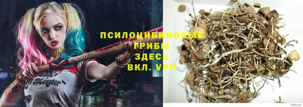 стаф Липки
