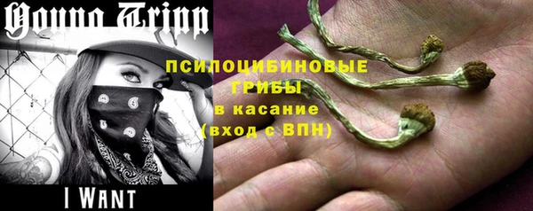 дмт Магадан