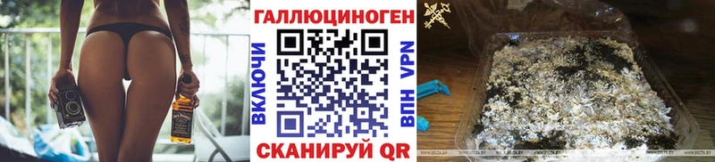 Галлюциногенные грибы Psilocybine cubensis Змеиногорск